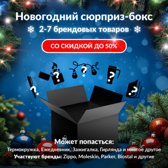 Новогодний сюрприз-бокс NINEBOT 2